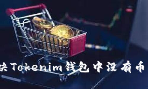 如何解决Tokenim钱包中没有币的问题？