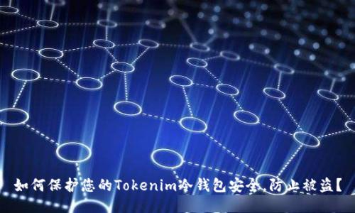 如何保护您的Tokenim冷钱包安全，防止被盗？