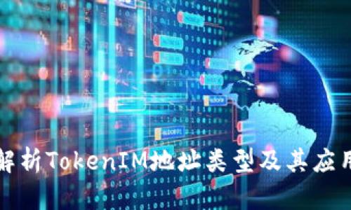全面解析TokenIM地址类型及其应用场景