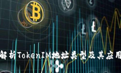 全面解析TokenIM地址类型及其应用场景
