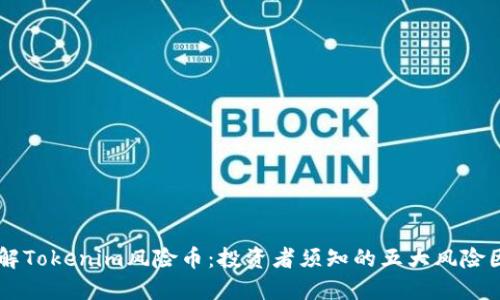 了解Tokenim风险币：投资者须知的五大风险因素