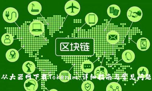 如何从大器网下载Tokenim：详细指南与常见问题解答