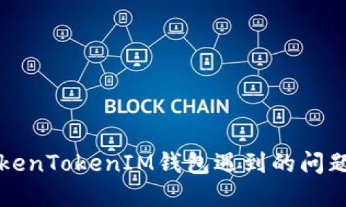 国内使用TokenTokenIM钱包遇到的问题及解决方案