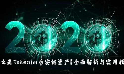 什么是Tokenim币安链资产？全面解析与实用指南