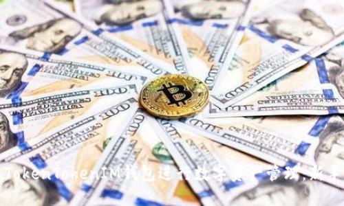 如何使用TokenTokenIM钱包进行数字资产管理：新手入门指南