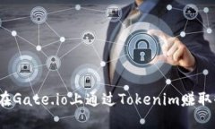 如何在Gate.io上通过Tokeni