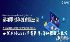 如何从Bitdock下载软件：详