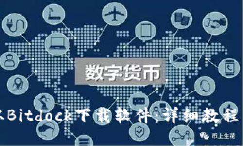 如何从Bitdock下载软件：详细教程与技巧