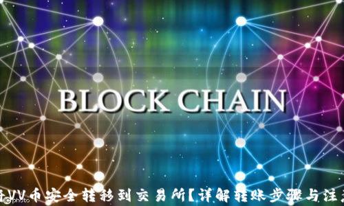 
如何将VV币安全转移到交易所？详解转账步骤与注意事项